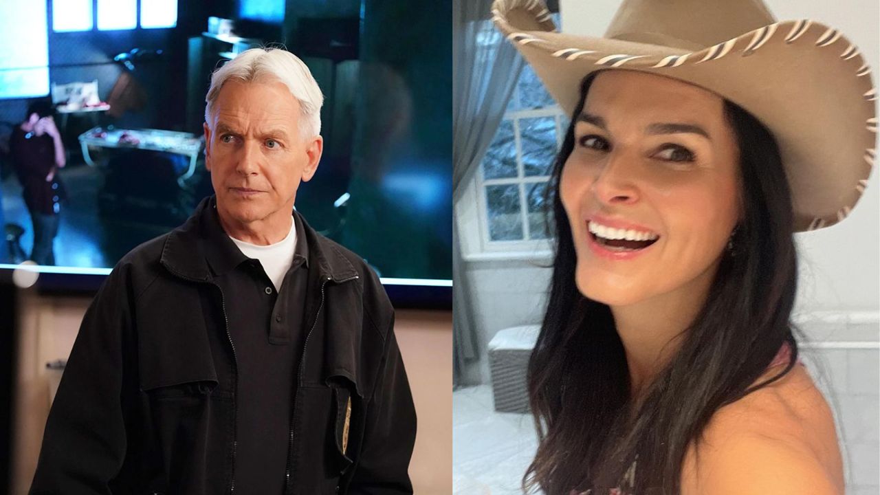 Is Angie Harmon Related to Mark Harmon? - The Little Facts