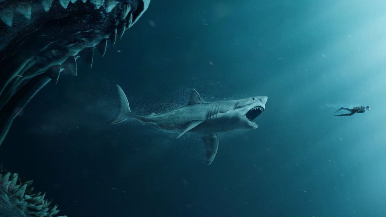 5 Best Shark Movies on HBO Max The Little Facts