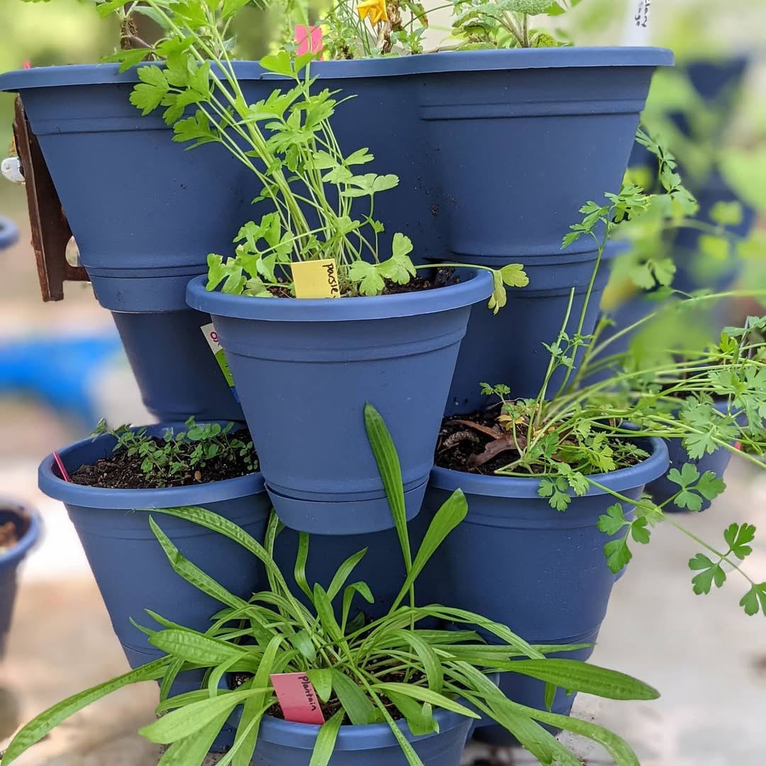 Stacking Planters