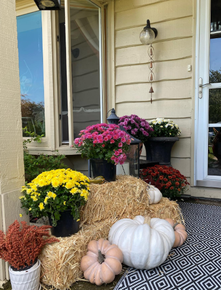 Autumn Harvest Display