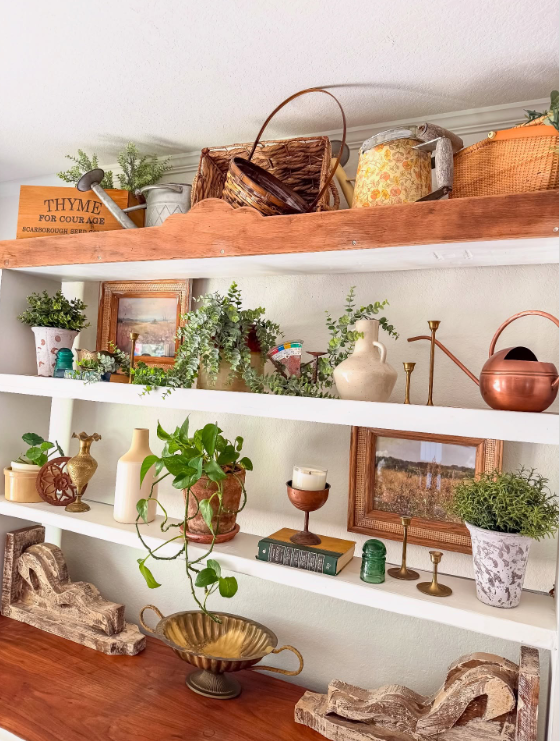 Open Shelves with Plants