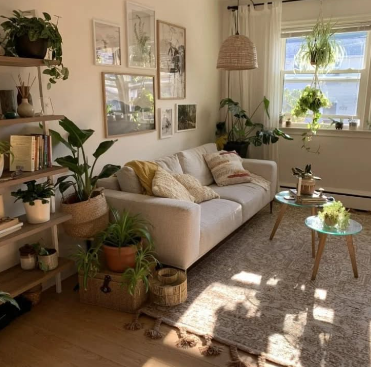 Urban Bohemian Oasis