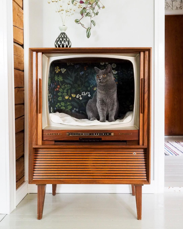 Vintage TV Console Cat Bed