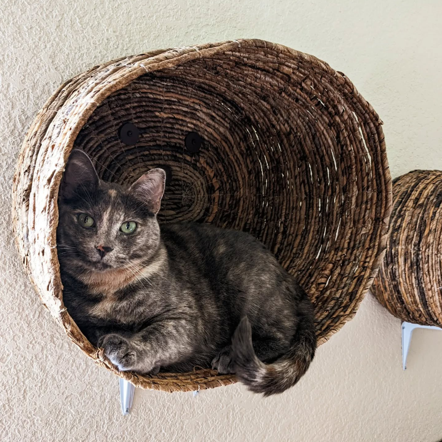 Wall-Mounted Wicker Basket Perch