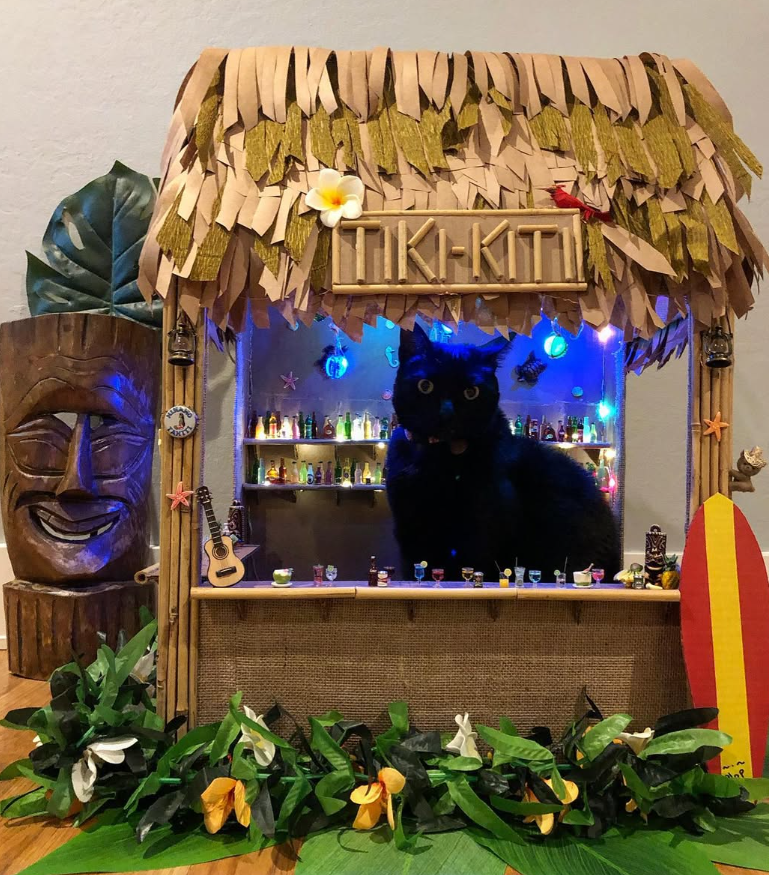 Elaborate Tiki Bar Cat House