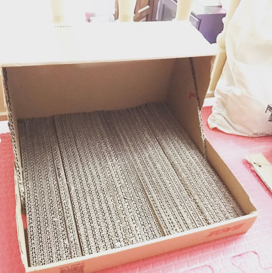 Cardboard Scratching Bed Insert