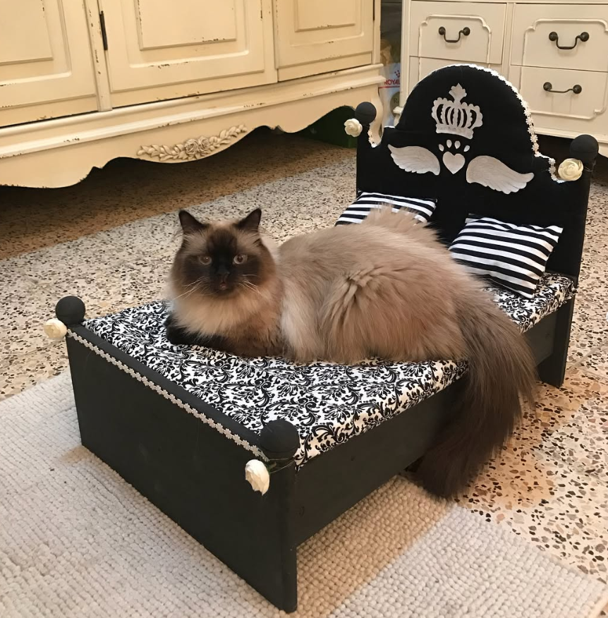 Elegant Black Wooden Bed with Crown Headboard