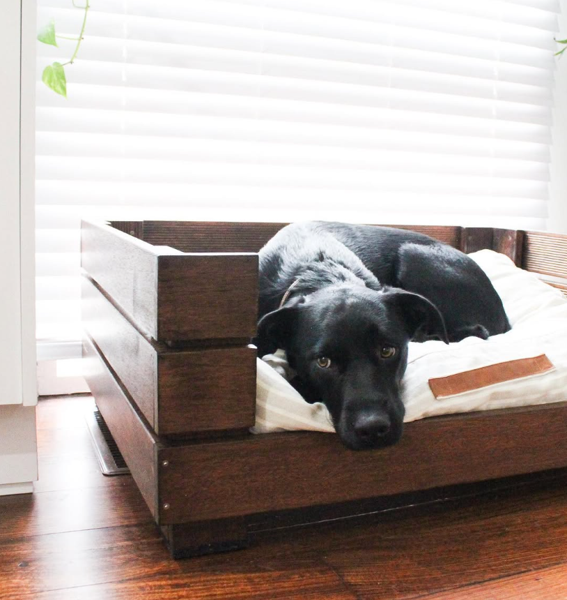 Classic Dark Wood Platform Bed