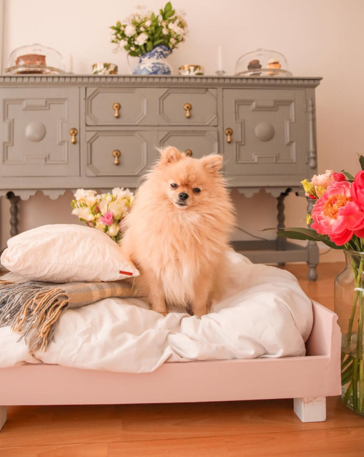 Blush Pink Modern Platform Bed