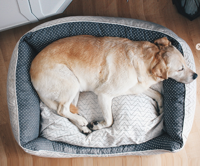 Cozy Bolster Bed with Gray Accents