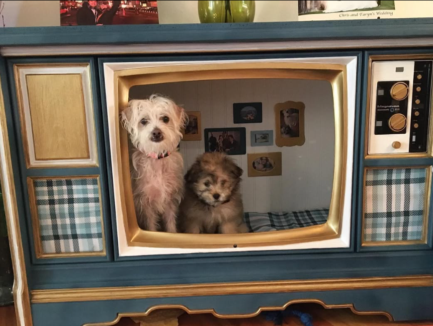 Upcycled Vintage TV Console Dog House
