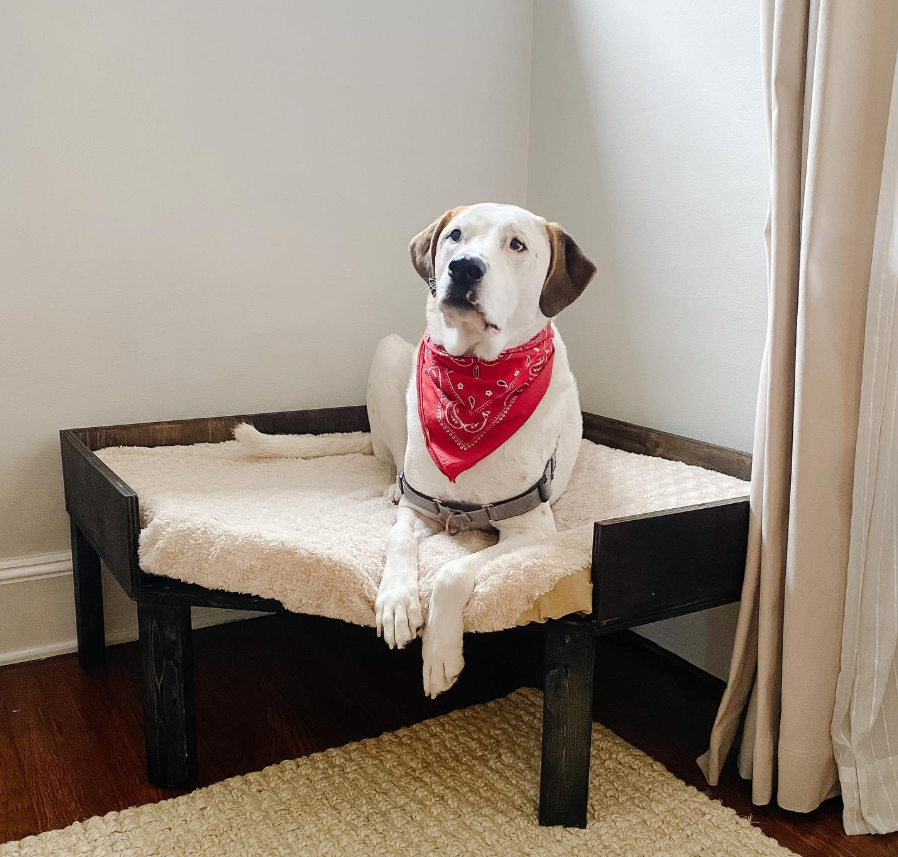 Elevated Black Wooden Bed with Sheepskin