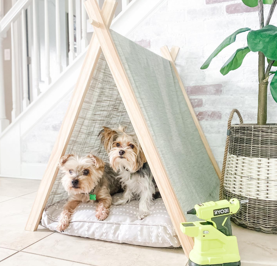 Boho Teepee Dog Tent