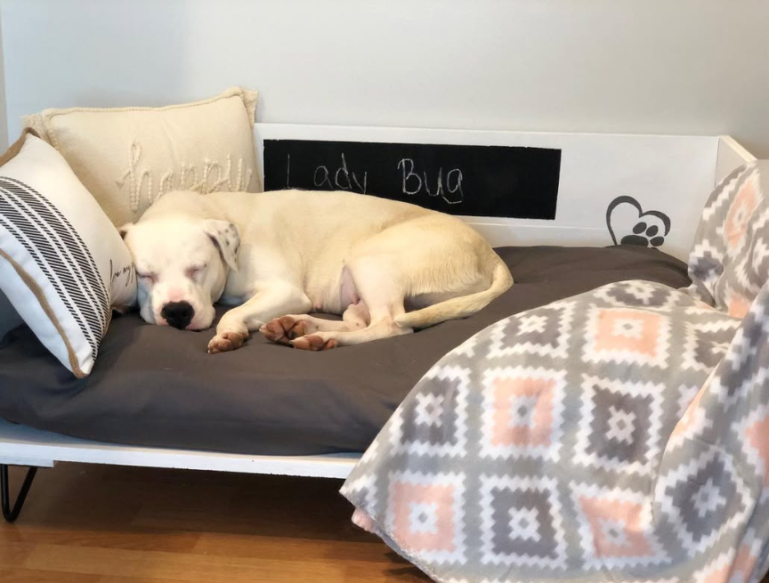 Personalized White Bed with Chalkboard Headboard