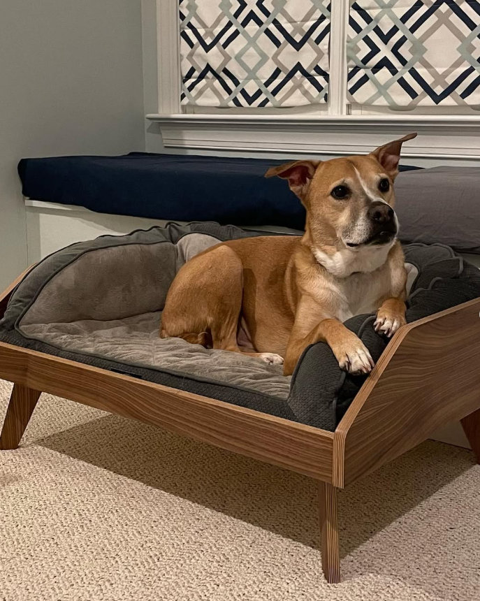 Mid-Century Modern Platform Bed with Hairpin Legs