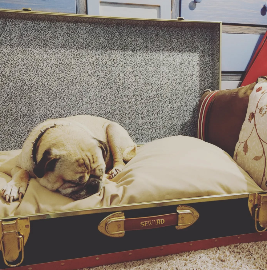 Vintage Suitcase Dog Bed