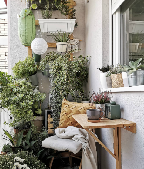 Urban Jungle Wall-Mount Garden