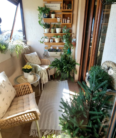 Woodland Sanctuary Lounge