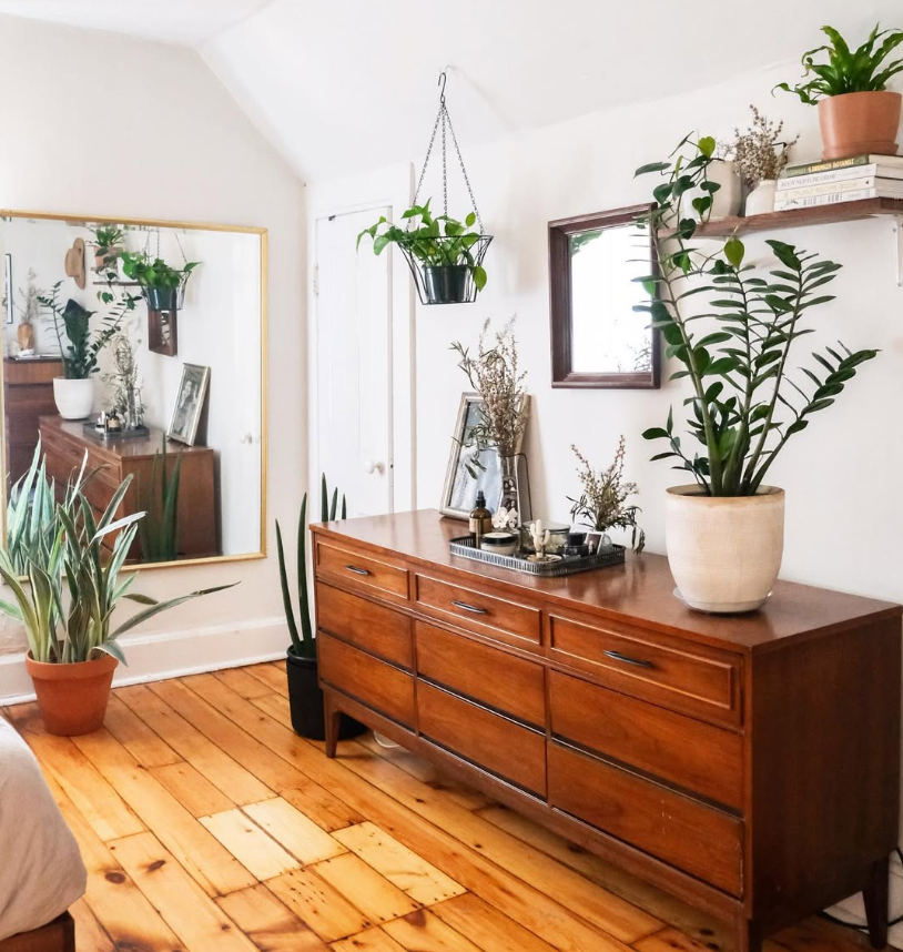 Mid-Century Plant Corner