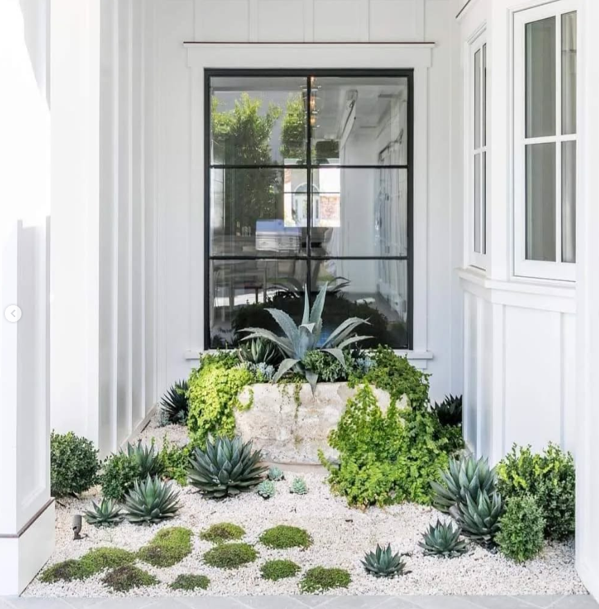 Succulent and Gravel Front Garden