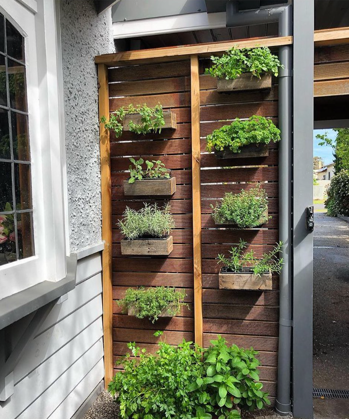 DIY Vertical Herb Wall